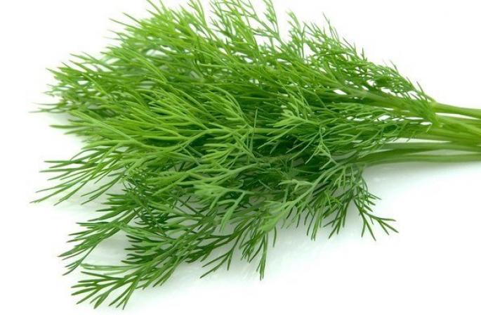 Why do you dream about dill according to the dream book?