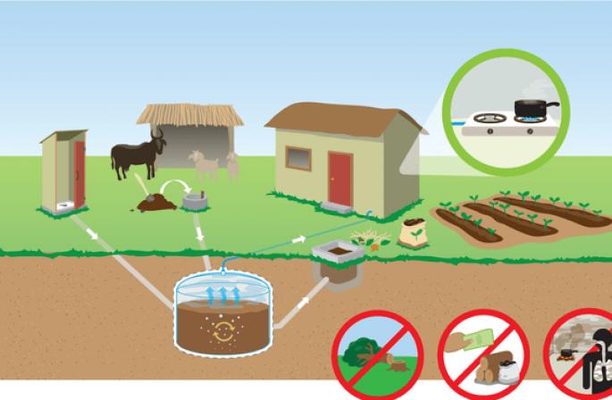 How to produce biogas from manure: an overview of the basic principles and design of a production plant