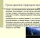 Presentation on the topic: Electrical phenomena in nature